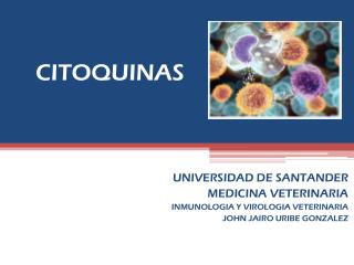 CITOQUINAS