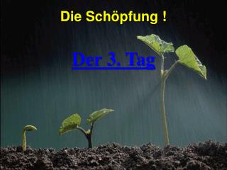 Die Schöpfung !