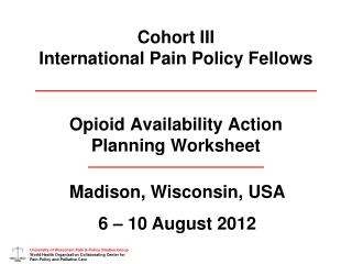 Cohort III International Pain Policy Fellows