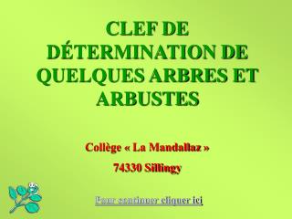 CLEF DE DÉTERMINATION DE QUELQUES ARBRES ET ARBUSTES Collège « La Mandallaz » 74330 Sillingy