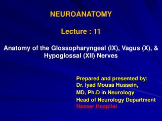 NEUROANATOMY Lecture : 11