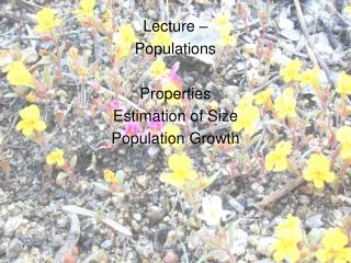 Lecture – Populations Properties Estimation of Size Population Growth