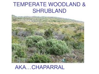 TEMPERATE WOODLAND &amp; SHRUBLAND