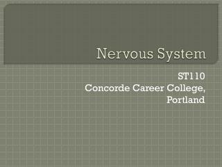 Nervous System