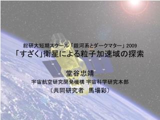 総研大短期スクール 「銀河系とダークマター」 2009 「すざく」衛星による粒子加速域の探索