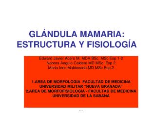 GLÁNDULA MAMARIA: ESTRUCTURA Y FISIOLOGÍA