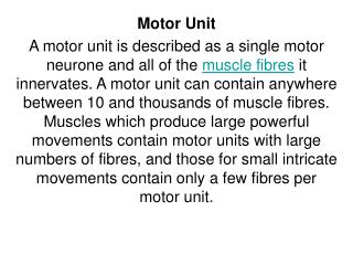 Motor Unit