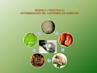 SESION # 1 PRACTICA #1 DETERMINACION DEL CONTENIDO DE HUMEDAD