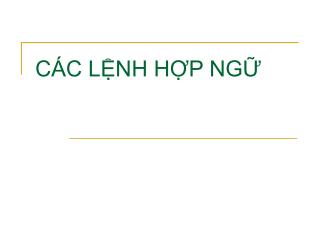 CÁC LỆNH HỢP NGỮ