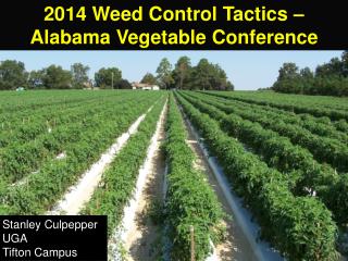 2014 Weed Control Tactics – Alabama Vegetable Conference