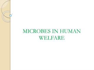 MICROBES IN HUMAN WELFARE