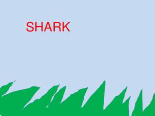 SHARK