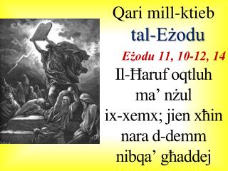 Qari mill-ktieb tal-Eżodu Eżodu 11, 10-12, 14 Il-Ħaruf oqtluh ma’ nżul