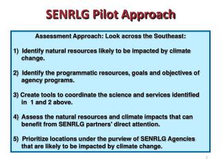 SENRLG Pilot Approach