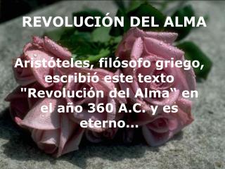 REVOLUCIÓN DEL ALMA