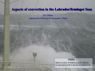 Aspects of convection in the Labrador/Irminger Seas