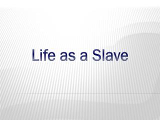 Life as a Slave