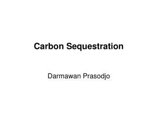 Carbon Sequestration