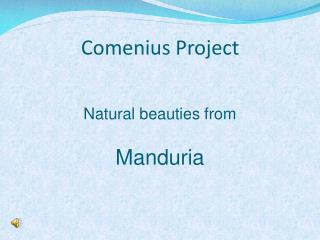 Comenius Project