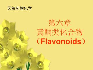 第六章 黄酮类化合物 （ Flavonoids ）