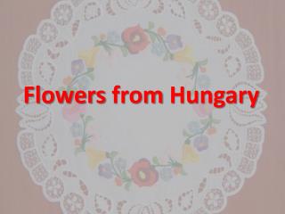 Flowers from Hungary