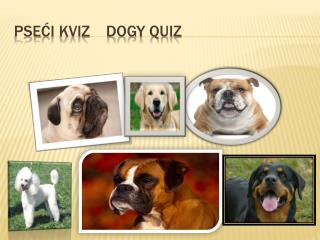 Pse ći kviz dogy quiz