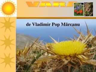 VARA