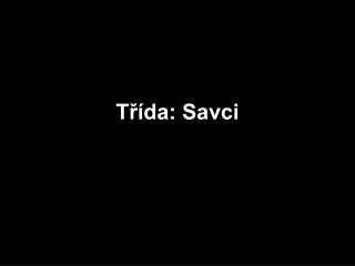 Třída: Savci