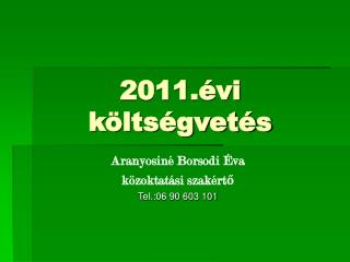 2011.évi költségvetés