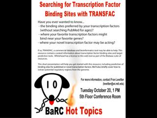 Searching for transcription factor binding sites with TRANSFAC