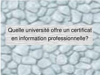 Quelle université offre un certificat en information professionnelle?