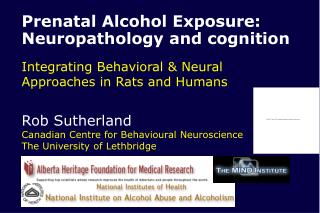 Prenatal Alcohol Exposure: Neuropathology and cognition Integrating Behavioral &amp; Neural