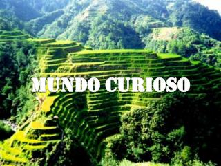 MUNDO CURIOSO