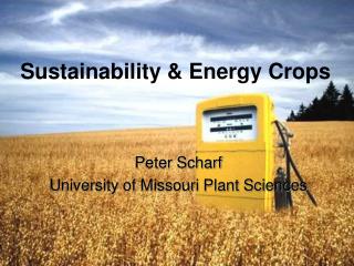 Sustainability &amp; Energy Crops