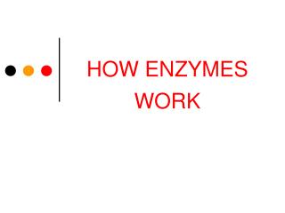 HOW ENZYMES WORK