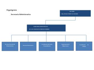 Organigrama