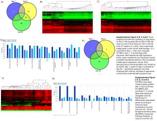 toxsci 12 0081 File005