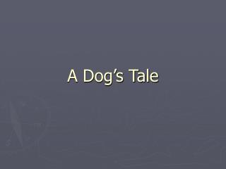 A Dog’s Tale