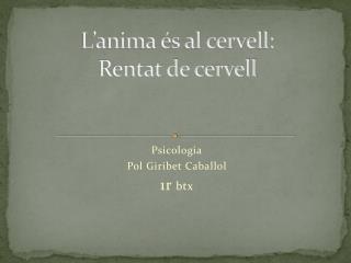 L’anima és al cervell: Rentat de cervell