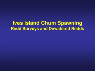 Ives Island Chum Spawning Redd Surveys and Dewatered Redds