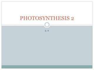 PHOTOSYNTHESIS 2