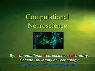 Computational Neuroscience