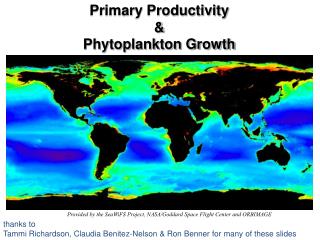 Primary Productivity &amp; Phytoplankton Growth
