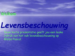 Levensbeschouwing