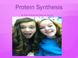 Protein Synthesis