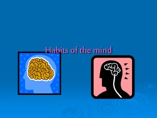 Habits of the mind