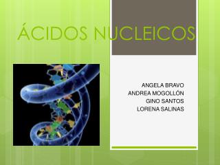 Á CIDOS NUCLEICOS