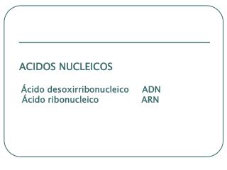 ACIDOS NUCLEICOS Ácido desoxirribonucleico ADN Ácido ribonucleico ARN