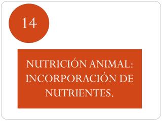 NUTRICIÓN ANIMAL: INCORPORACIÓN DE NUTRIENTES.
