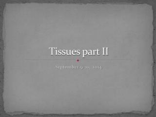 Tissues part II